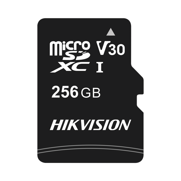 Memoria microSD / 256 GB / Multipropósito
